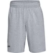 Under Armour  COTTON BIG LOGO SHORTS gray Férfirövidnadrág XXL