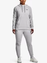 Under Armour  Fleece LC Hoodie-GRY Női melegítőfelső