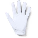 Under Armour  Medal Golf Glove grey Férfikesztyű