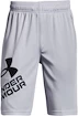 Under Armour  Prototype 2.0 Logo Shorts gray Fiú-rövidnadrágok M