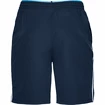 Under Armour  Qualifier WG Perf Short Férfirövidnadrág