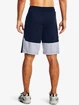 Under Armour  Raid 2.0 Shorts-NVY Férfirövidnadrág