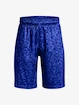 Under Armour  Renegade 3.0 PRTD Shorts-BLU Fiú-rövidnadrágok