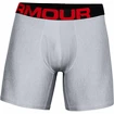 Under Armour  Tech 6" 2 Pack grey Dynamic Férfiboxeralsó