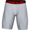 Under Armour  Tech 9in 2 Pack grey Dynamic Férfiboxeralsó