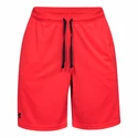 Under Armour  Tech Mesh Short Férfirövidnadrág