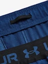 Under Armour  Vanish Woven 6in Shorts-BLU Férfirövidnadrág