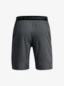 Under Armour  Vanish Woven 8in Shorts-GRY Férfirövidnadrág