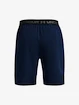 Under Armour  Vanish Woven 8in Shorts-NVY Férfirövidnadrág