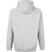 Virtus  Oralie Hoody grey Férfi-melegítőfelső