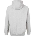 Virtus  Oralie Hoody grey Férfi-melegítőfelső