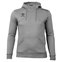 Warrior Alpha X Aspire Hoody Gray Férfi-melegítőfelső