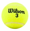 Wilson  Championship (4 Pack)  Teniszlabdák