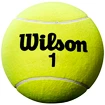 Wilson  Roland Garros 9" Jumbo Yellow  Nagy teniszlabda