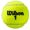 Wilson  Roland Garros All Court (4 Pack)  Teniszlabdák