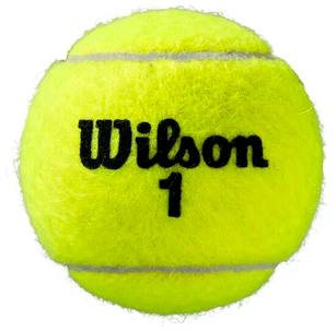 Wilson  Roland Garros All Court (4 Pack)  Teniszlabdák